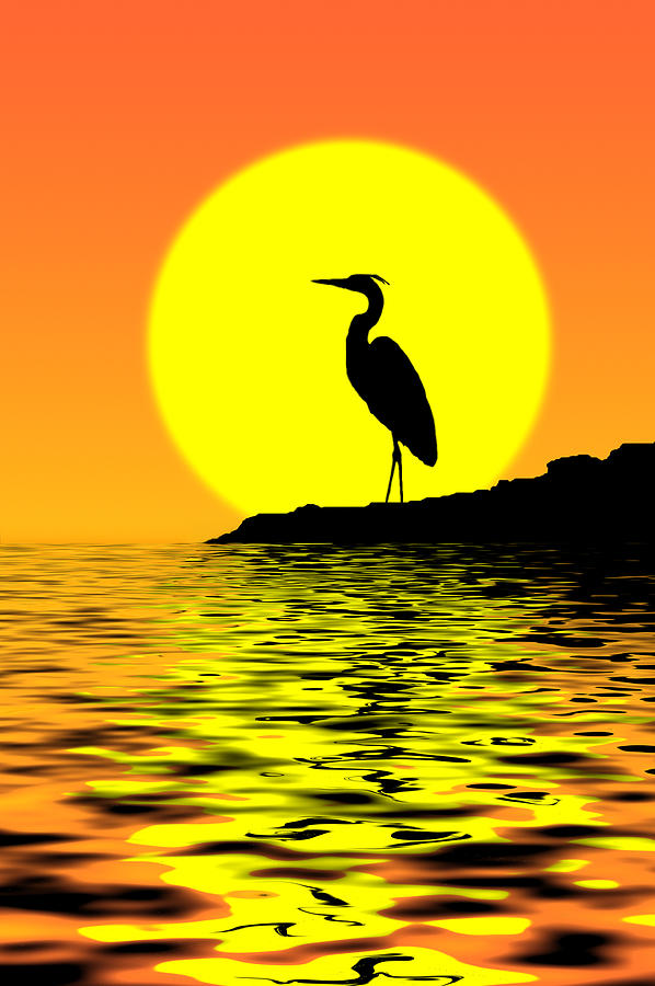 Heron Photograph - Blue Heron Sunset by Richard Leighton