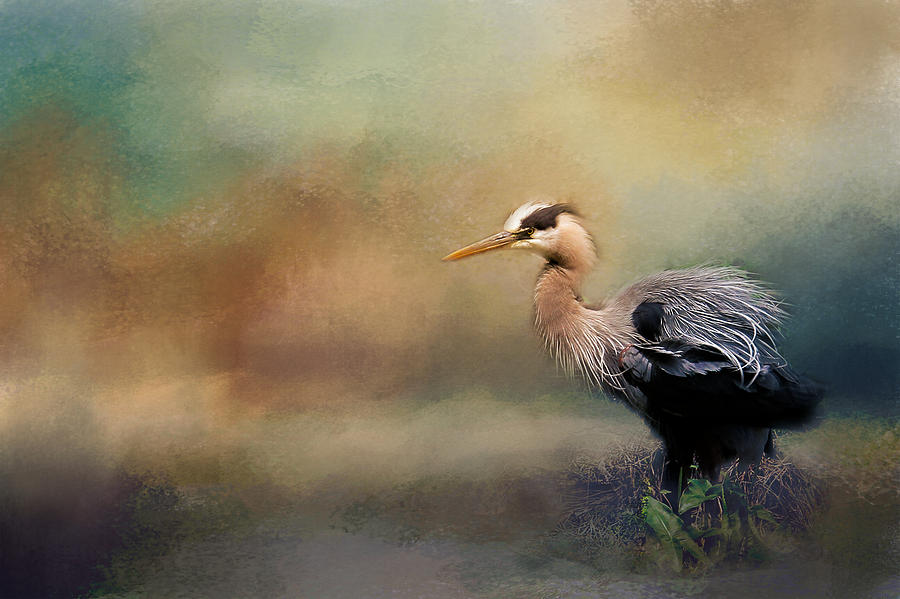 Blue Heron With Texture Photograph
