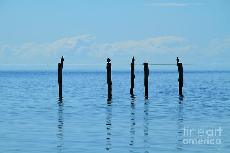 Blue Horizon by Stephen Mitchell Blue Horizon by Stephen Mitchell