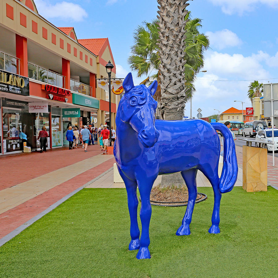 Blue Horse in Orangjetad, Aruba Photograph by Allan Levin