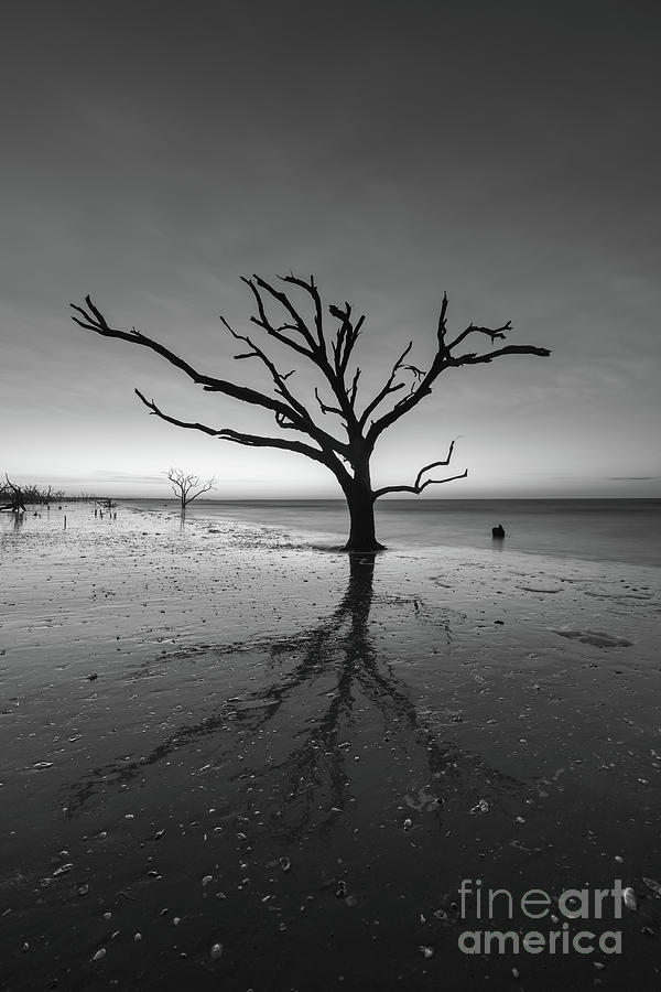 Blue Hour at Botany Bay Island BW  Photograph by Michael Ver Sprill