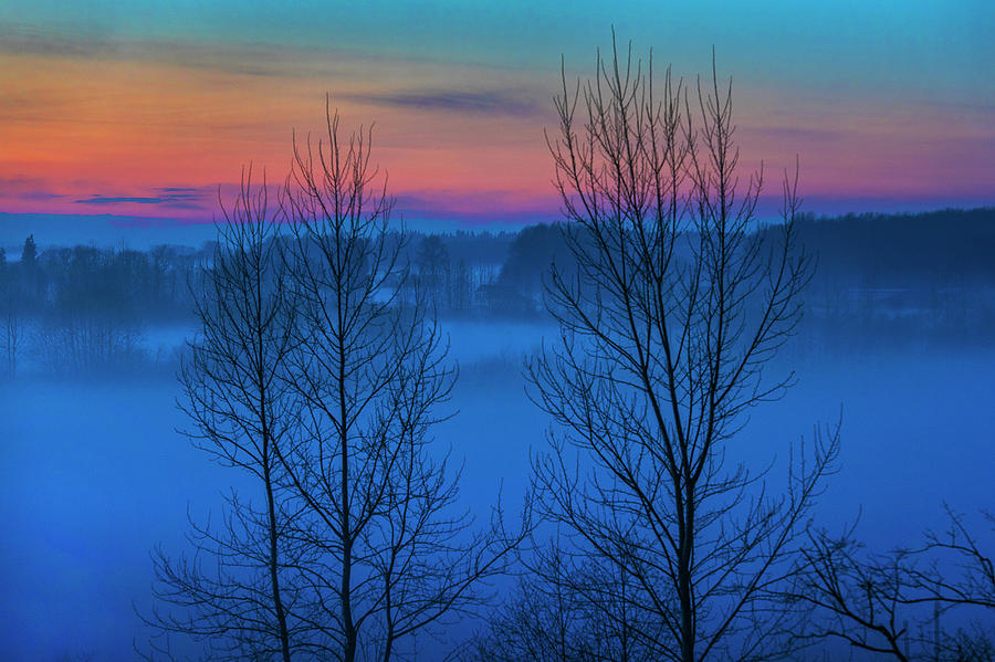 Blue Hour in the Fog Photograph by David Lunde