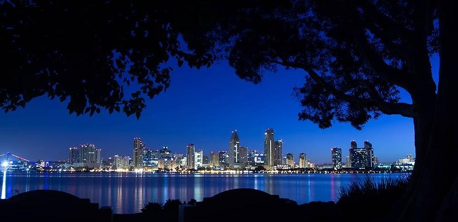 San Diego Photograph - Blue Hour by Randy Miller