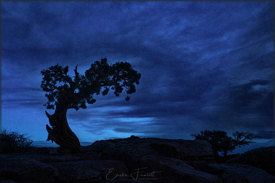 Blue Hour Silhouette Photograph by Erika Fawcett