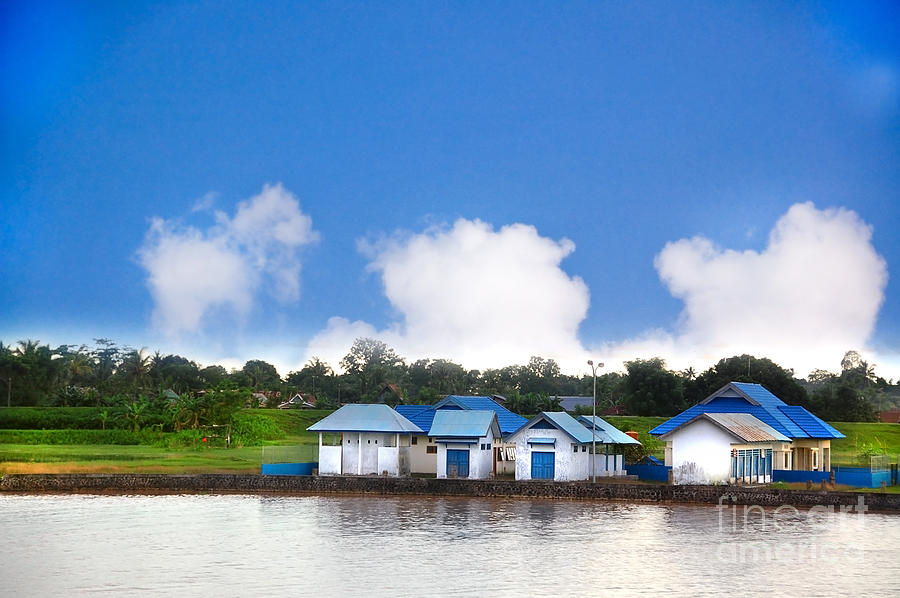 Tree Photograph - Blue Houses by Charuhas Images