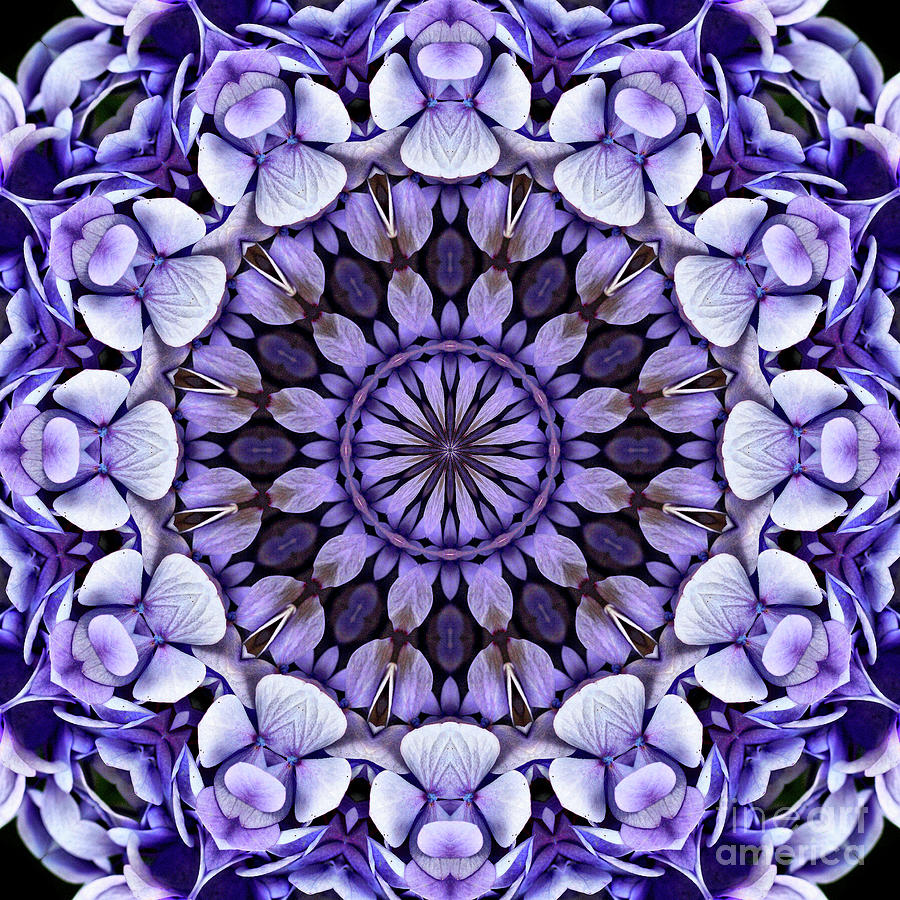 Blue Hydrangea Flower Petals Abstract Digital Art by Smilin Eyes Treasures