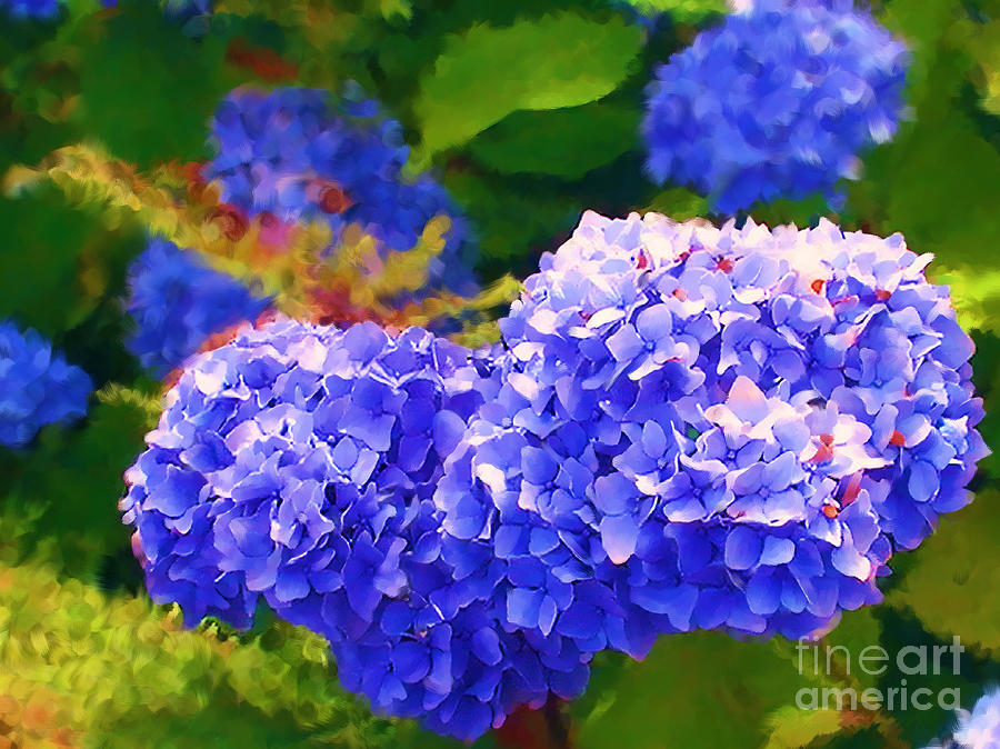 Flower Painting - Blue Hydrangea by Two Hivelys