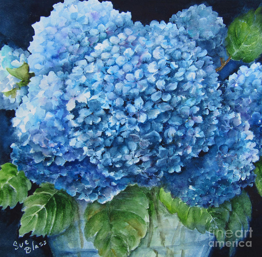 Blue Hydrangeas Painting by Sue Blass - Fine Art America