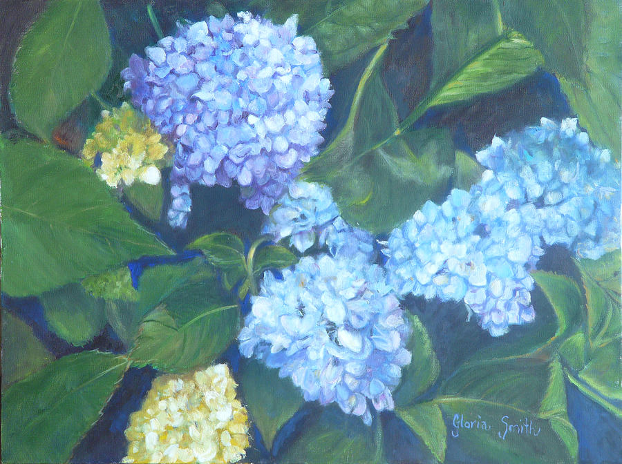 Blue Hydranges Painting by Gloria Smith