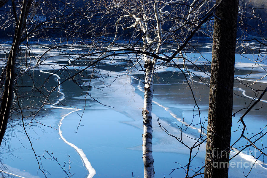Blue Ice Photograph by Andrea Simon