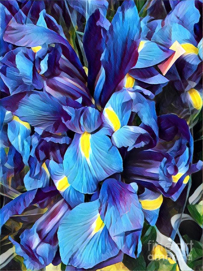 Iris Photograph - Blue Iris Happiness by Miriam Danar