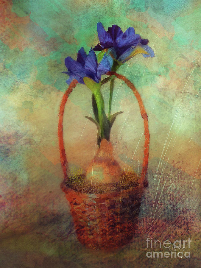 Blue Iris In A Basket Digital Art by Lois Bryan