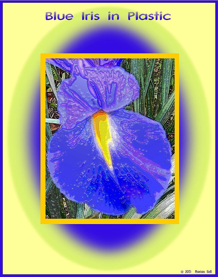 Blue Iris In Plastic Photograph by Marian Bell