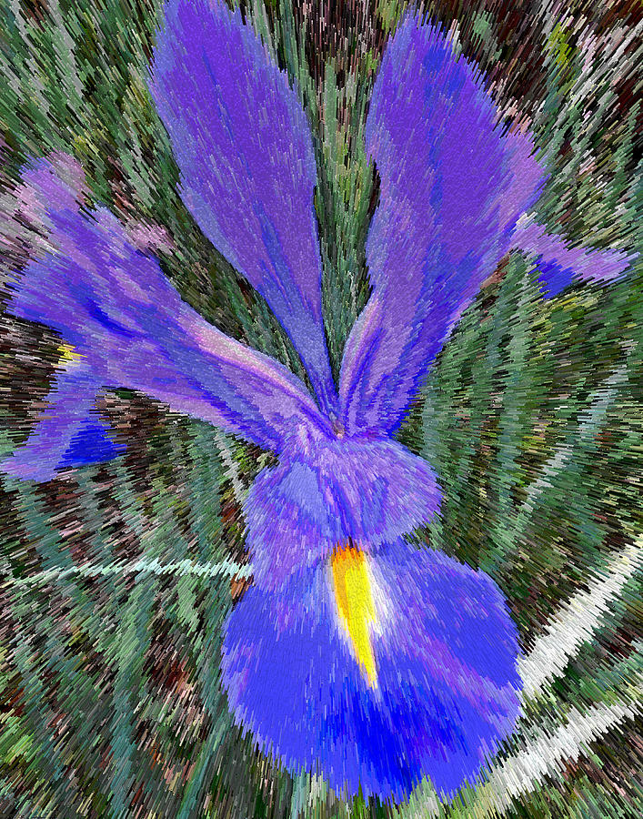 Blue Iris Digital Art by Marian Bell