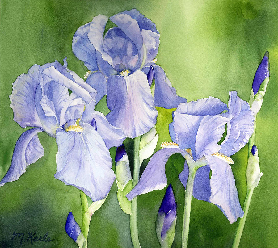 Blue Iris Painting by Marsha Karle