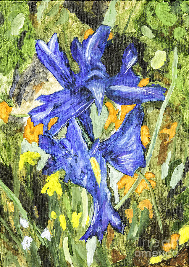 Flower Painting - Blue Iris Painting by Timothy Hacker