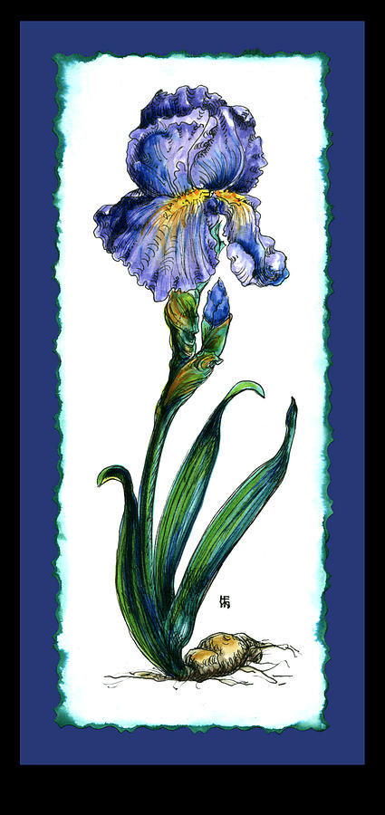 Blue Iris Painting by Shirley Heyn