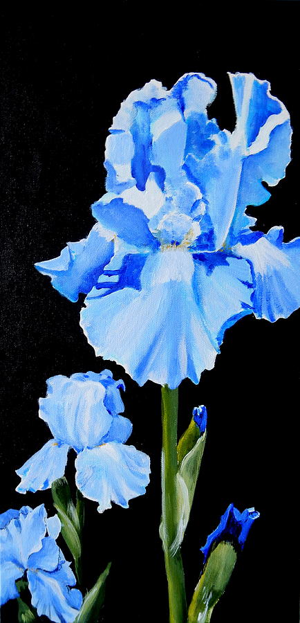 Blue Irises Painting by Betty-Anne McDonald