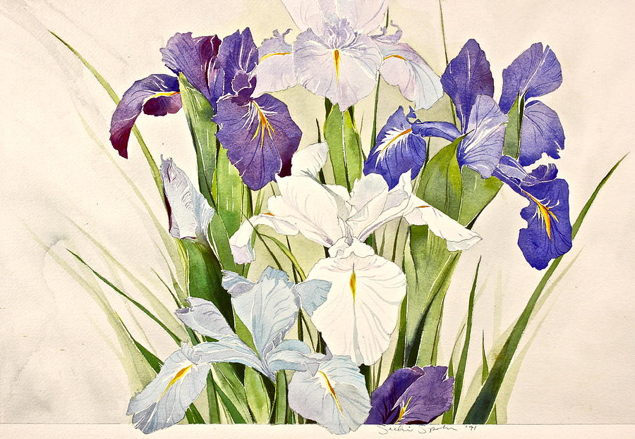 Blue Irises-Posthumously presented paintings of Sachi Spohn  Painting by Cliff Spohn