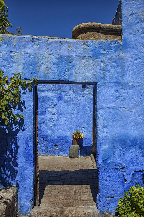 Blue is the color Photograph by Patricia Hofmeester