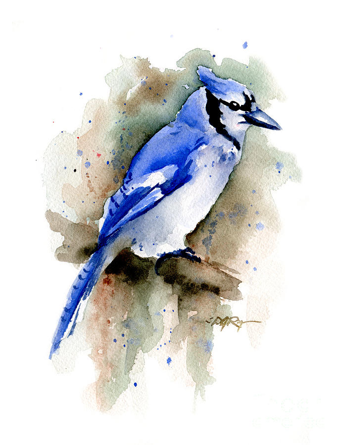 Wildlife Painting - Blue Jay by David Rogers
