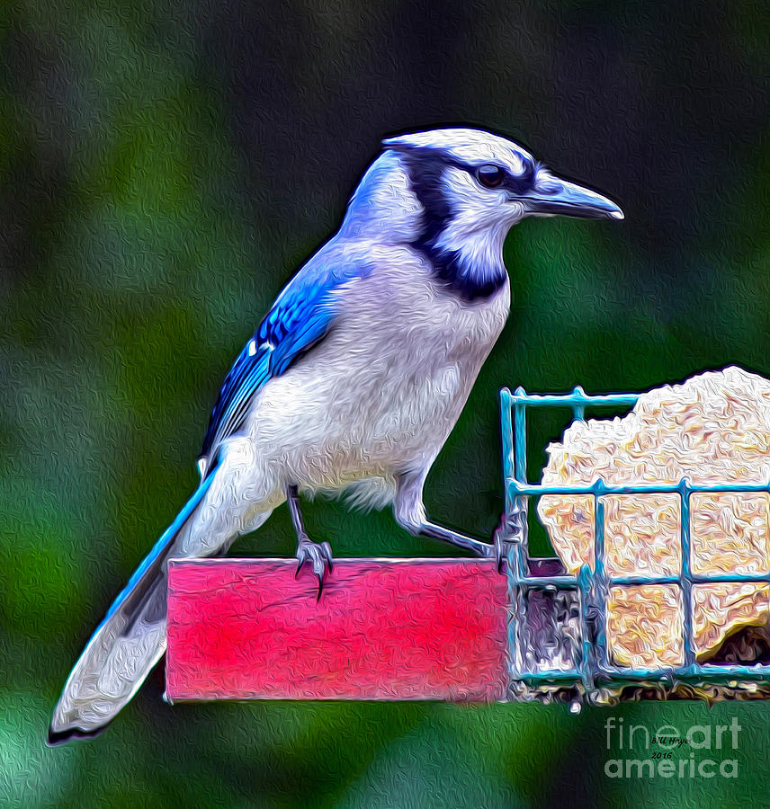 Bird Painting - Blue Jay II by DB Hayes