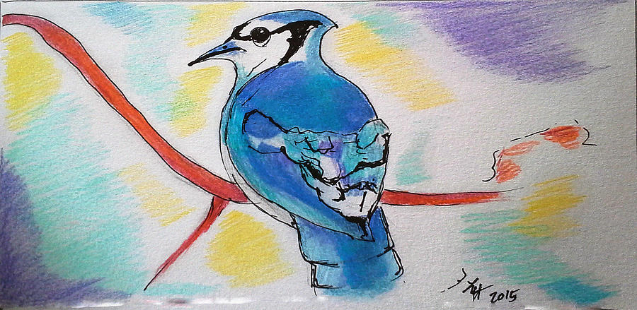Blue Jay Drawing by Loretta Nash