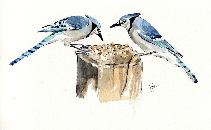 Blue Jay Lovebirds Painting by Christine Camp