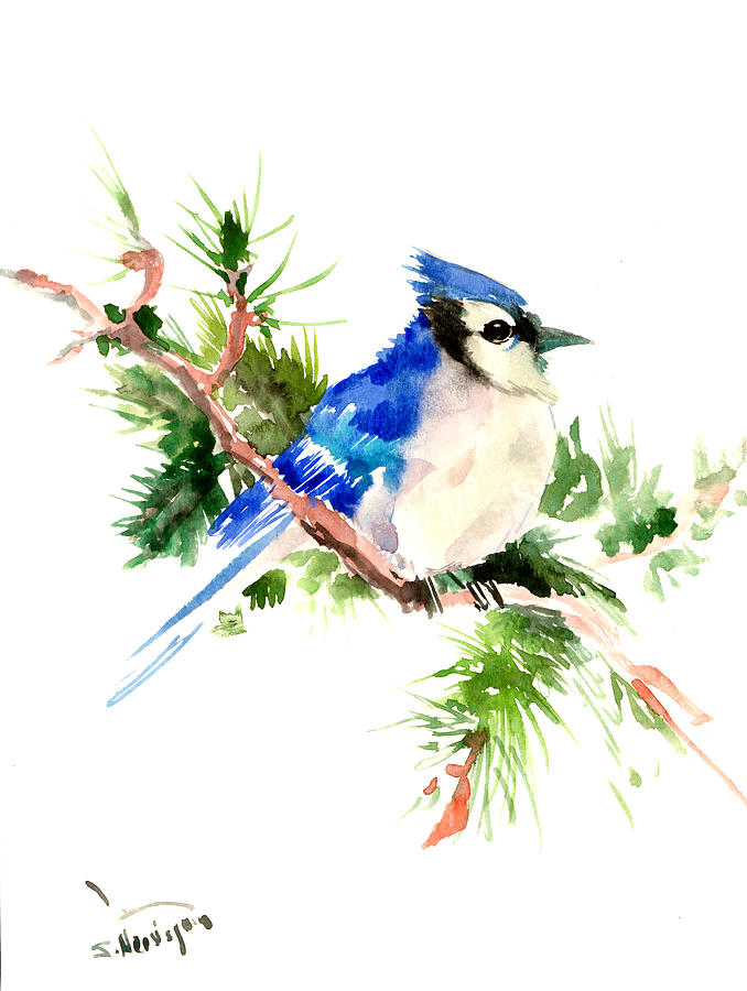 Blue Jay Painting - Blue Jay on Pine Tree by Suren Nersisyan