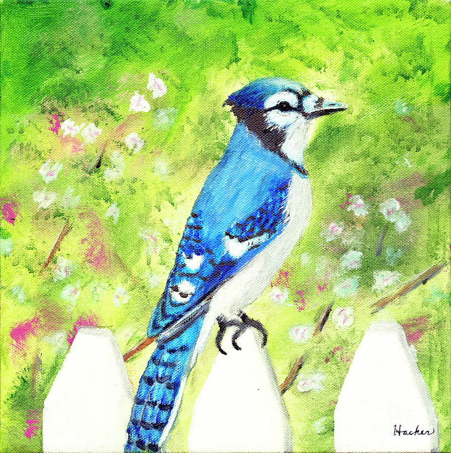 Blue Jay Painting Painting by Timothy Hacker