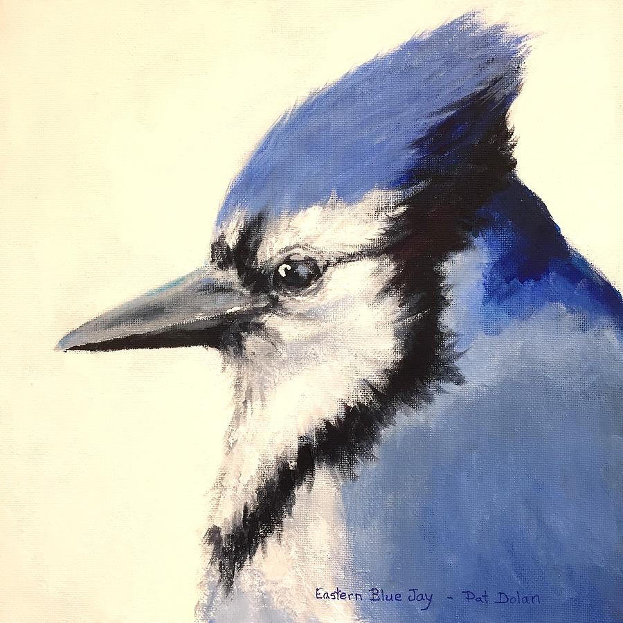 Blue Jay Painting by Pat Dolan