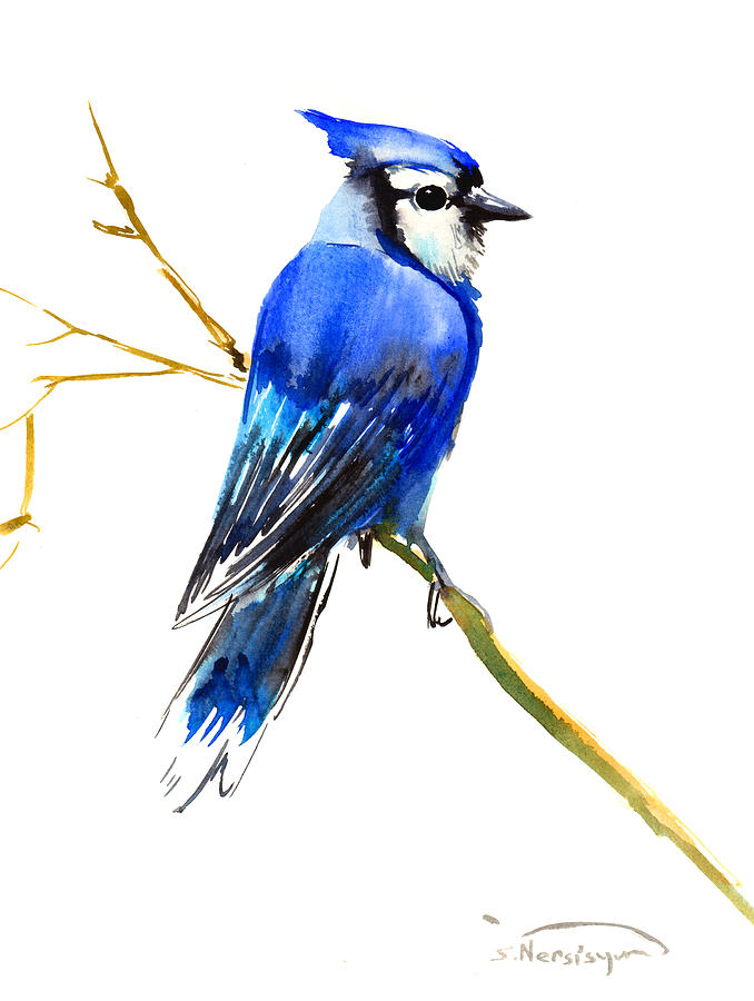 Blue Jay Painting by Suren Nersisyan