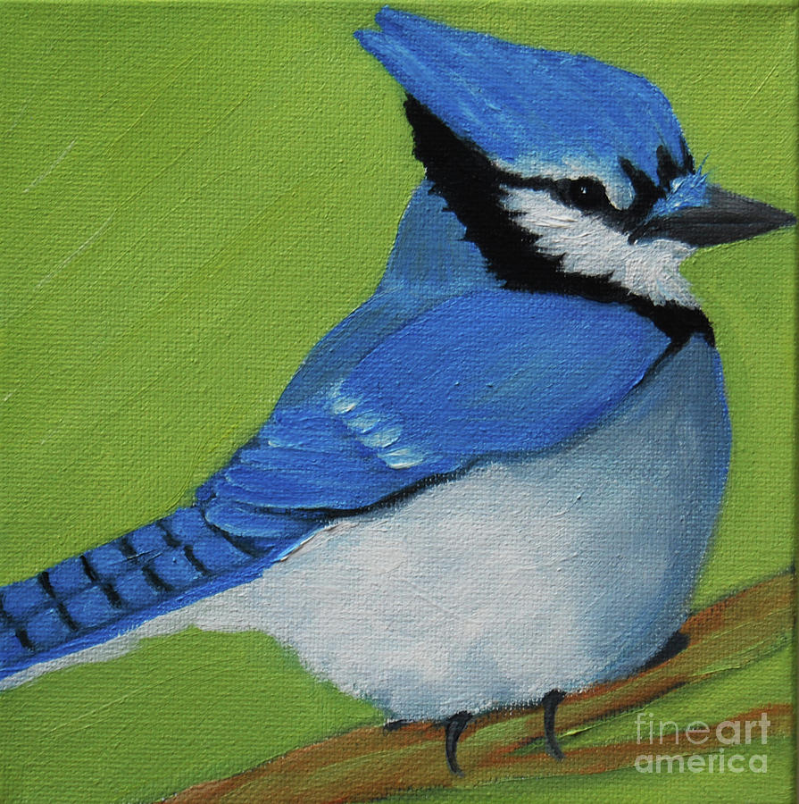 Blue Jay by Victoria Page Blue Jay by Victoria Page