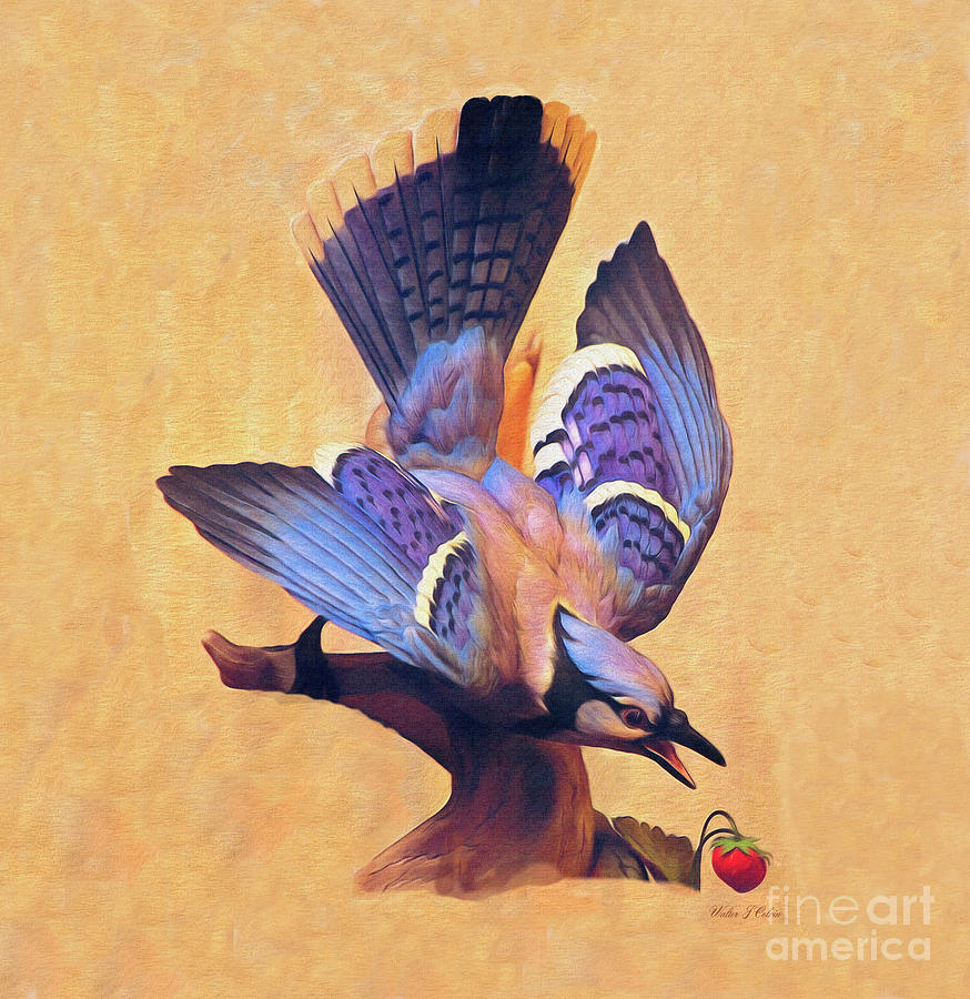 Blue Jay Digital Art by Walter Colvin