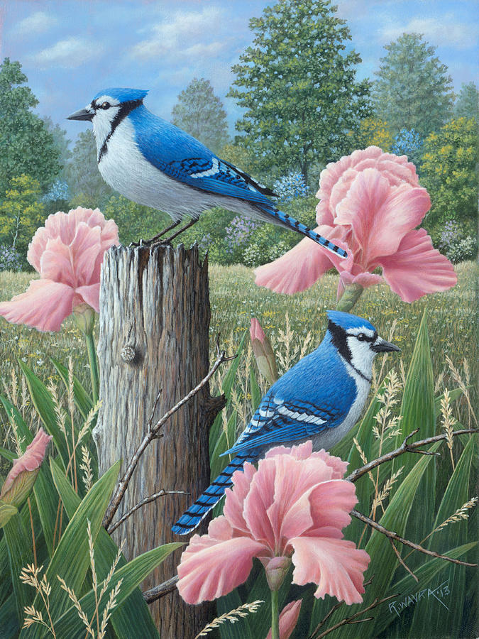 the overdetailed painting of a beautiful blue jay by xRebelYellx on  DeviantArt