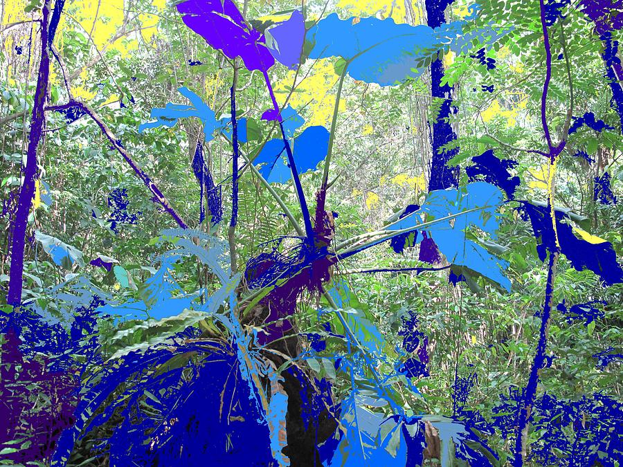 Blue Jungle Photograph by Ian  MacDonald