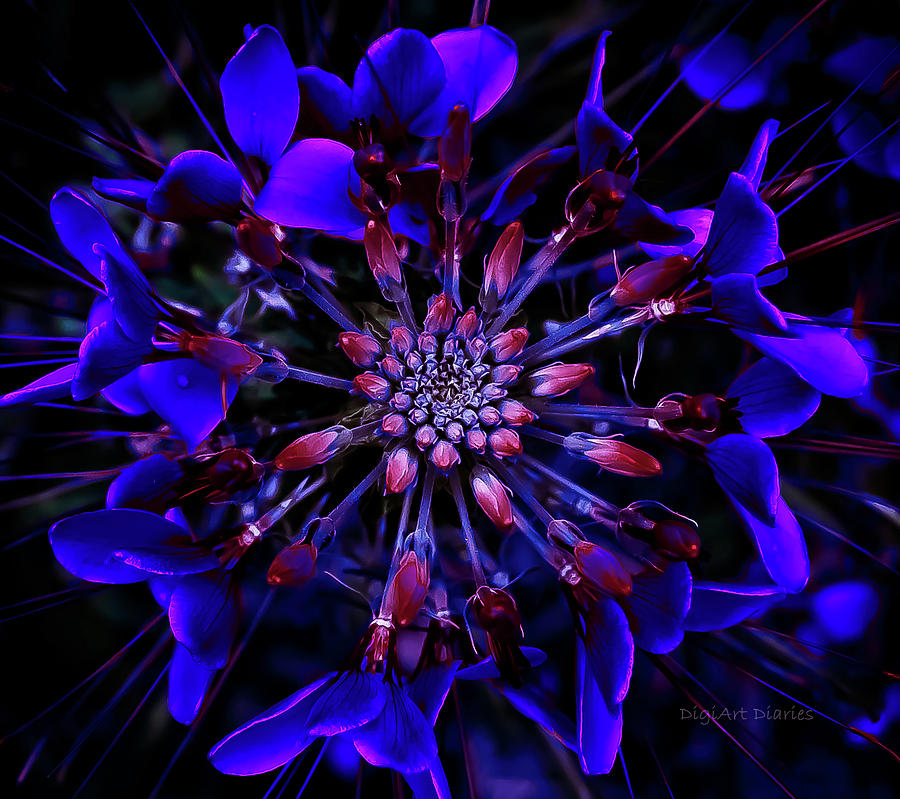 Blue Kaleidoscope Photograph by DigiArt Diaries by Vicky B Fuller