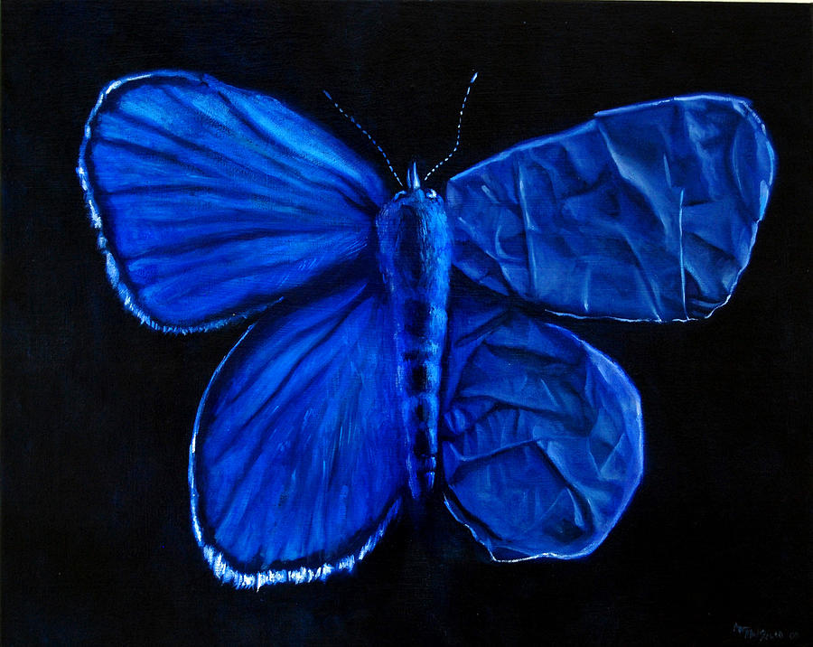 Butterfly Painting - Blue Karner by Matt Maniscalco