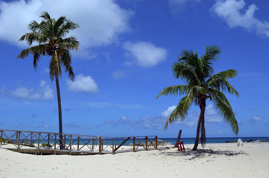 Blue Lagoon Island Beach Photograph by Richard Pross | Fine Art America