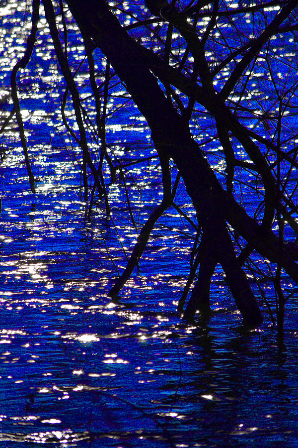Landscape Photograph - Blue Lake by Steven Linebaugh