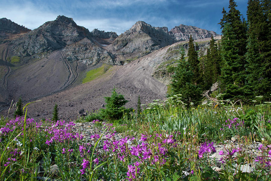 Blue Lakes Mountain and Fireweed Landscape Photograph by Cascade Colors