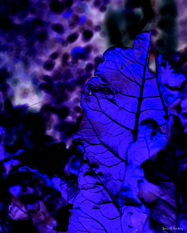 Blue Leaf Digital Art by James Granberry
