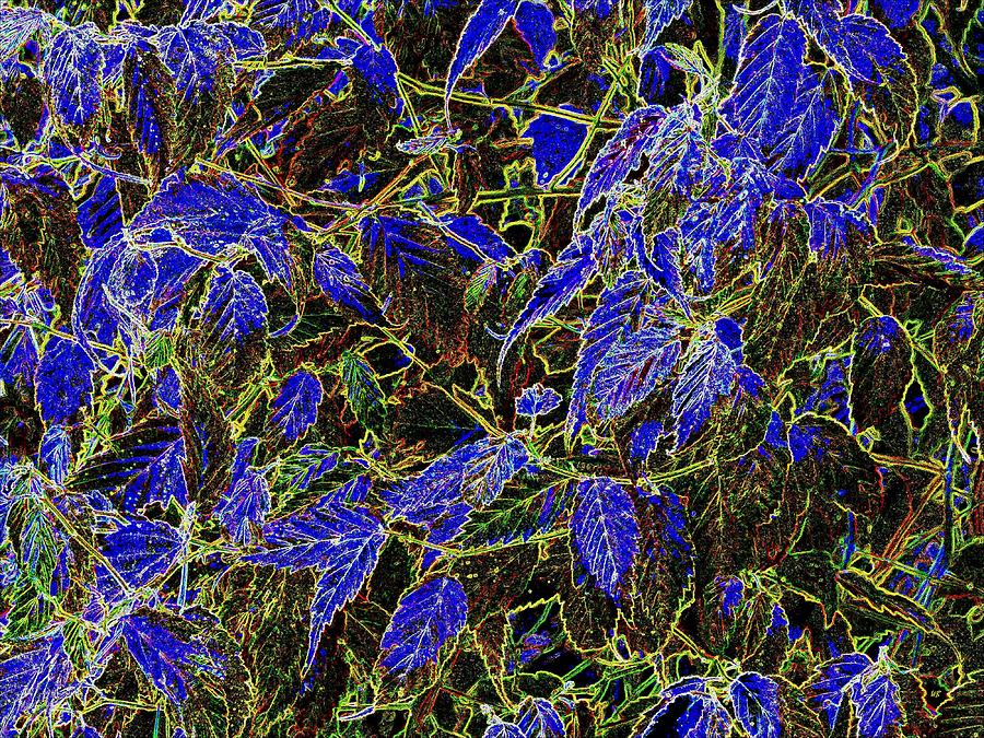 Blue Leaves Digital Art by Will Borden