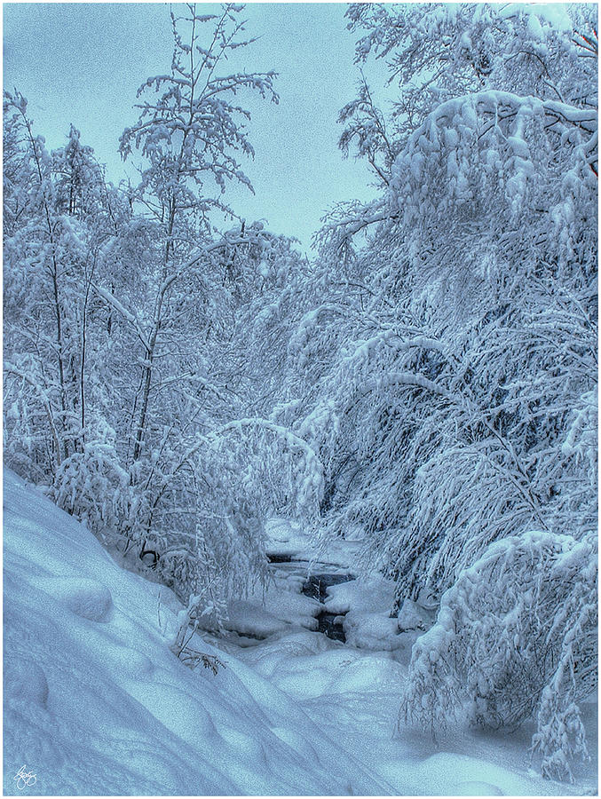 Blue Light on New Snow Photograph by Wayne King