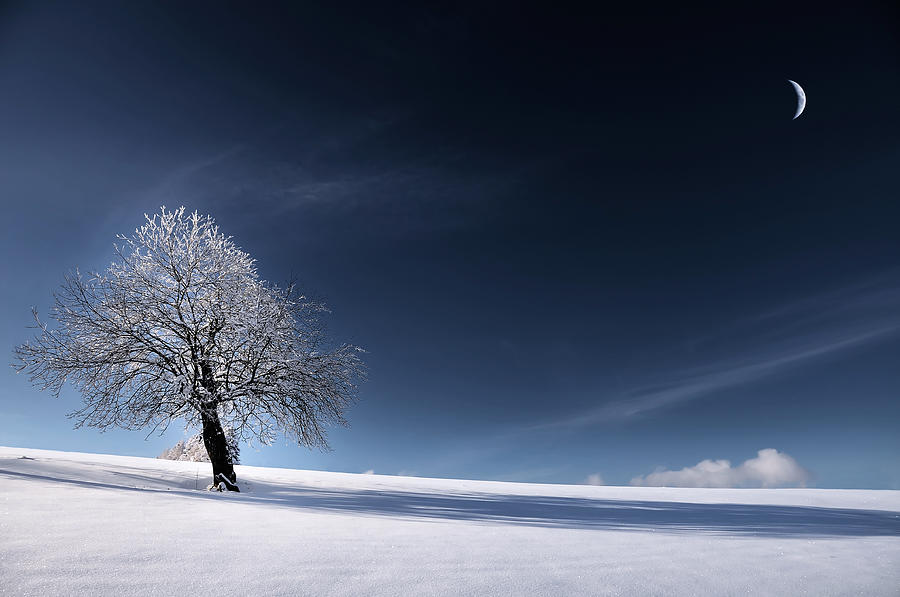 Blue Like Snow Photograph by Philippe Sainte-Laudy