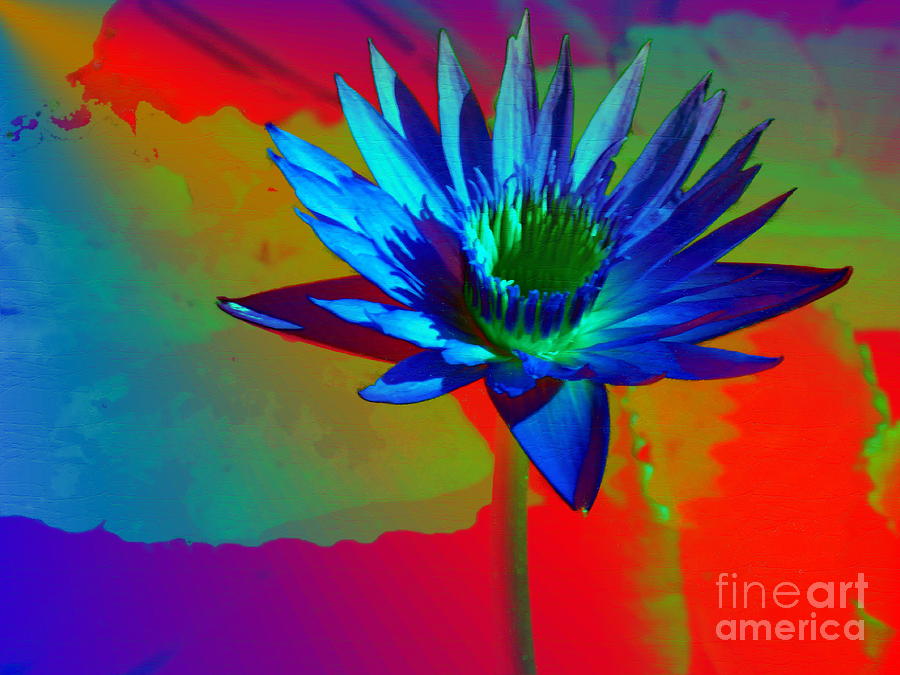 Blue Lily Digital Art by Dorlea Ho