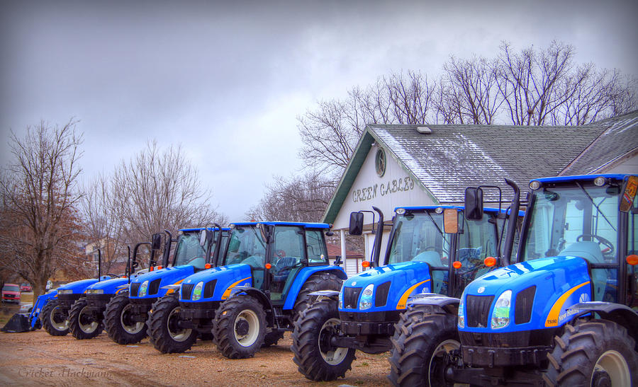 Winter Photograph - Blue Line Up by Cricket Hackmann