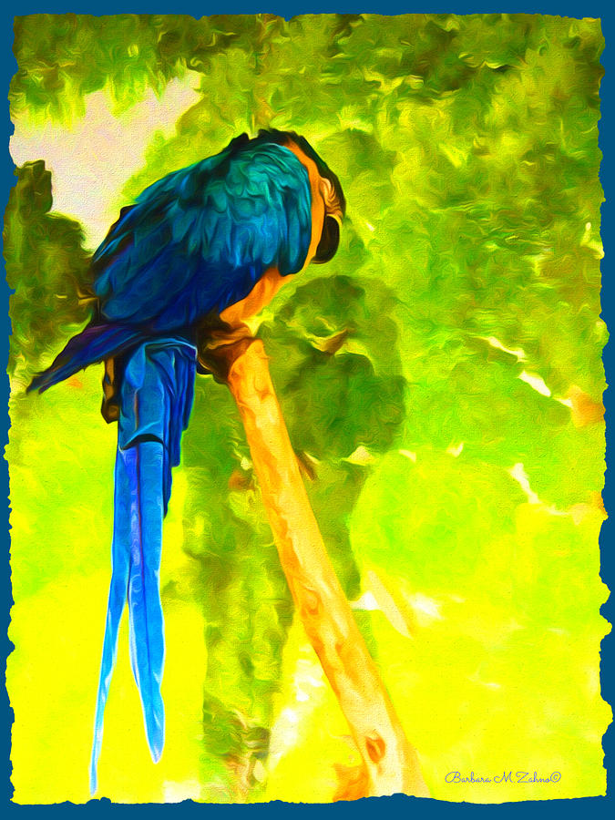 Blue Macaw Photograph by Barbara Zahno