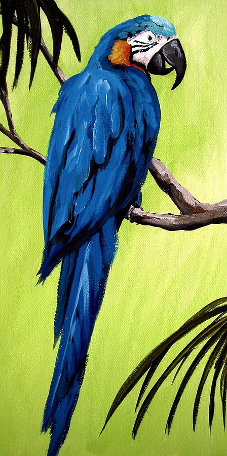 Blue Macaw Parrot Bird Painting By Debbie Criswell,Teriyaki Sauce Recipe