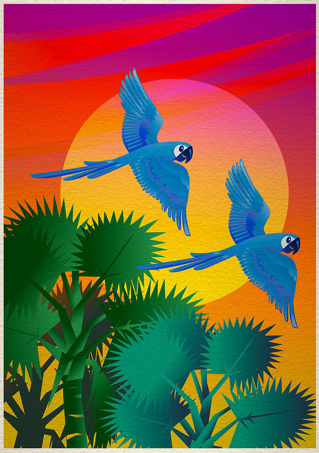 Blue macaws Digital Art by Nato  Gomes